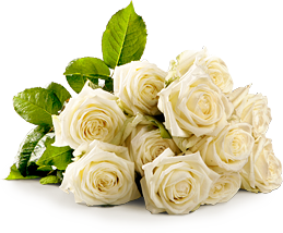 White roses