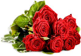 Red roses